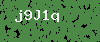 Captcha Failed to Generate
